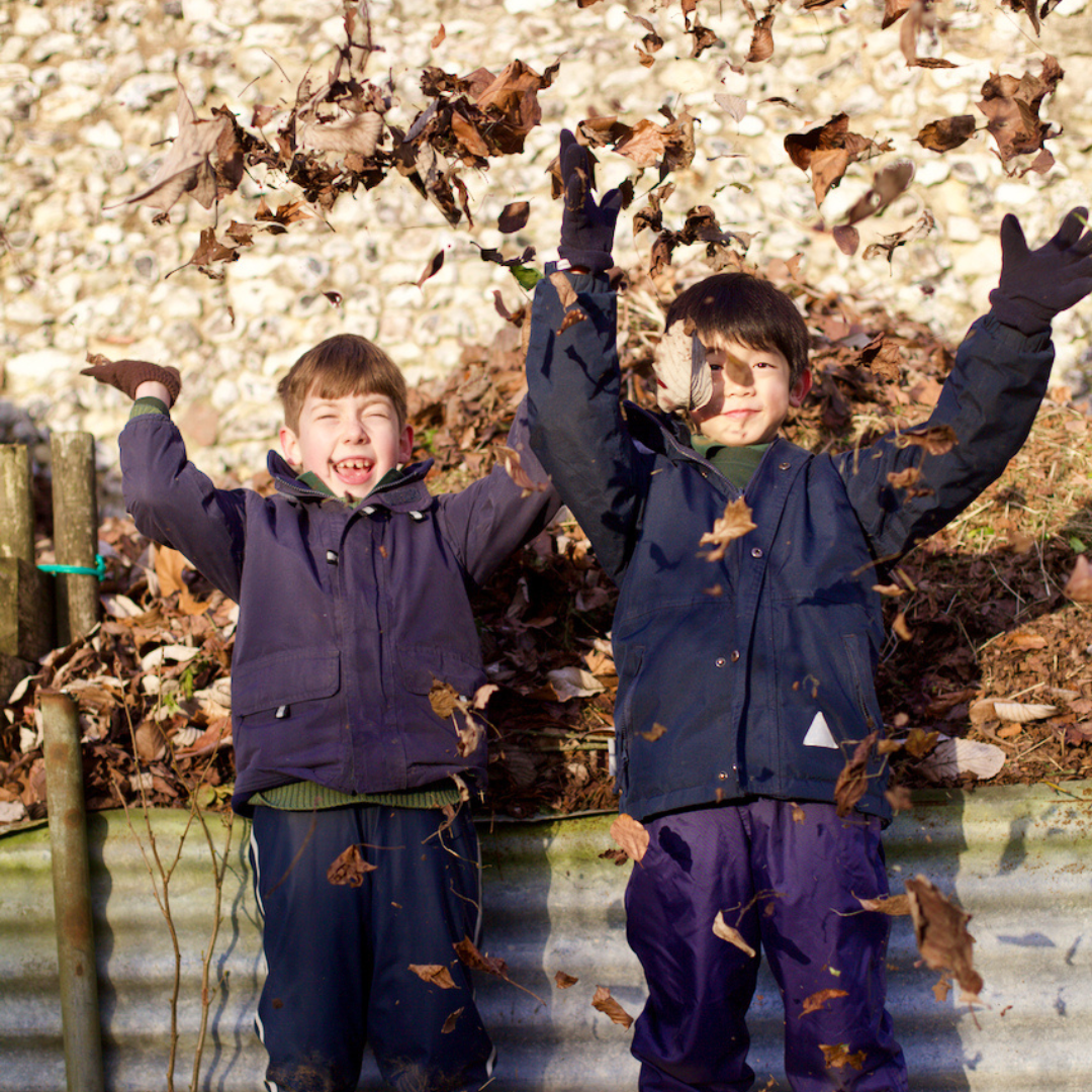 BTwo boys playing in the leaves