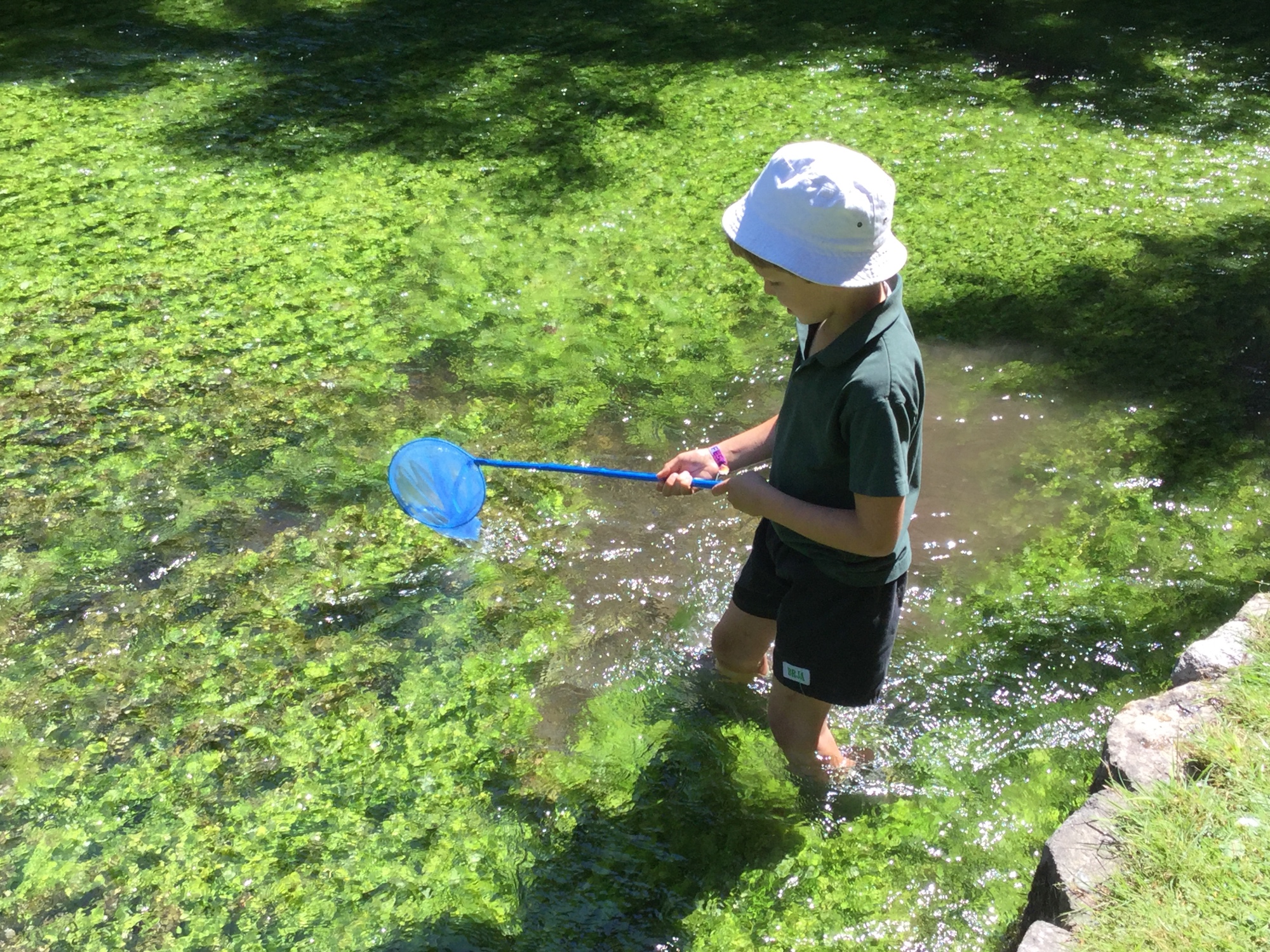 Boy fishing in river with net