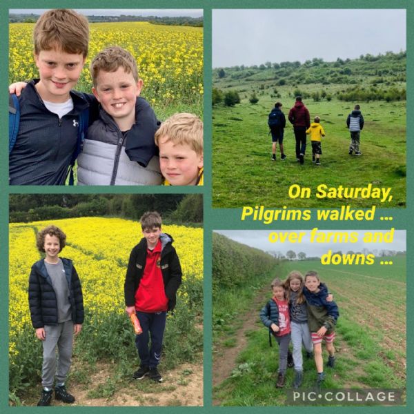 The Great Sponsored Walk Photos