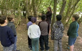 boys in woods on nature trail