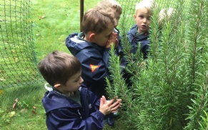 Latest news » Touch, see, hear, smell, taste